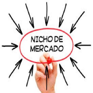 Baixar NICHO DE MERCADO pdf, epub, eBook