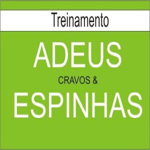 Baixar Treinamento Adeus Cravos & Espinhas pdf, epub, eBook