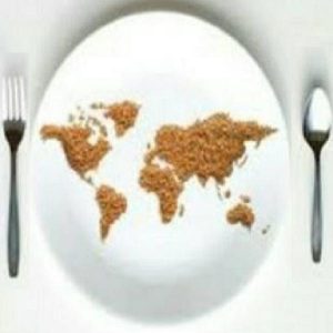 Baixar Alimentação e Estilo de Vida Saudável para Nômades e Viajantes pdf, epub, eBook