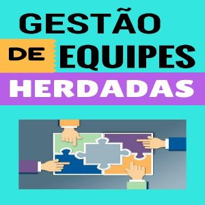 Baixar GESTÃO DE EQUIPES HERDADAS pdf, epub, eBook