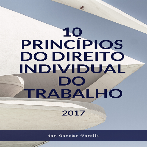 Baixar 10 Princípios do Direito Individual do Trabalho pdf, epub, eBook