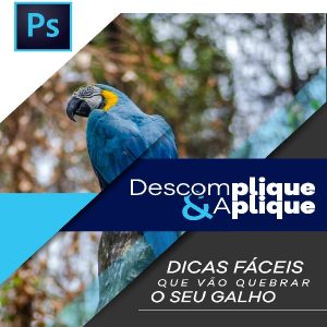 Baixar Descomplique&Aplique | Edição PHOTOSHOP pdf, epub, eBook