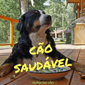 Baixar Cão Saudável pdf, epub, eBook