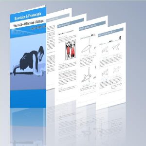 Baixar 95 Exercícios de Pranchas e Esfinges pdf, epub, eBook